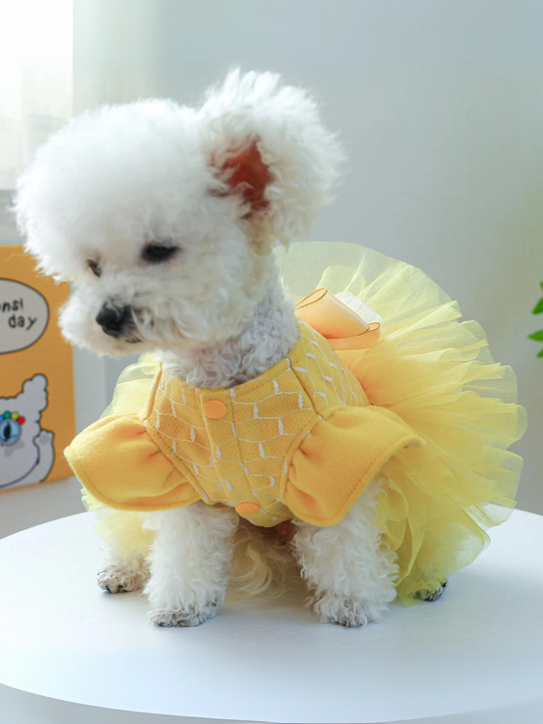 Dog Beauty Tutu Halloween Costume