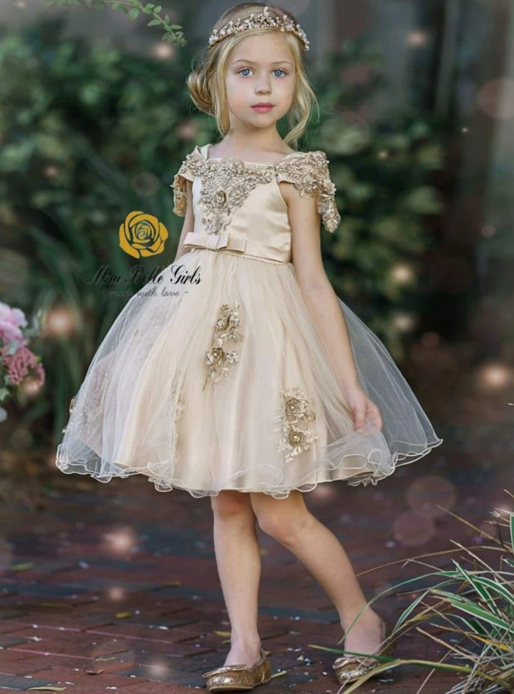 Girls Winter Formal Dress | Applique Holiday Dress | Mia Belle Girls