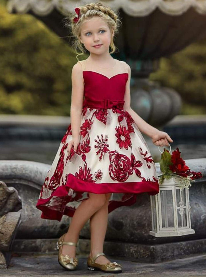 Winter Formal Wear | Girls Sheer Collar Chiffon Hi-Lo Holiday Dress