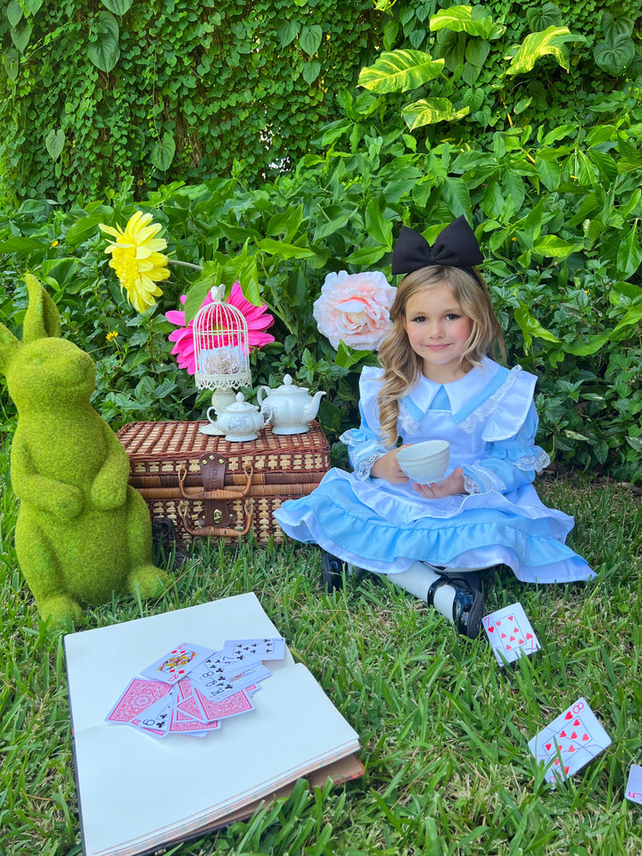 Girls Ruffled Alice In Wonderland Inspired Costume