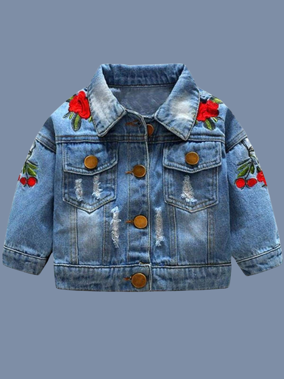Girls Distressed Denim Jacket with Rose Embroidery – Mia Belle Girls
